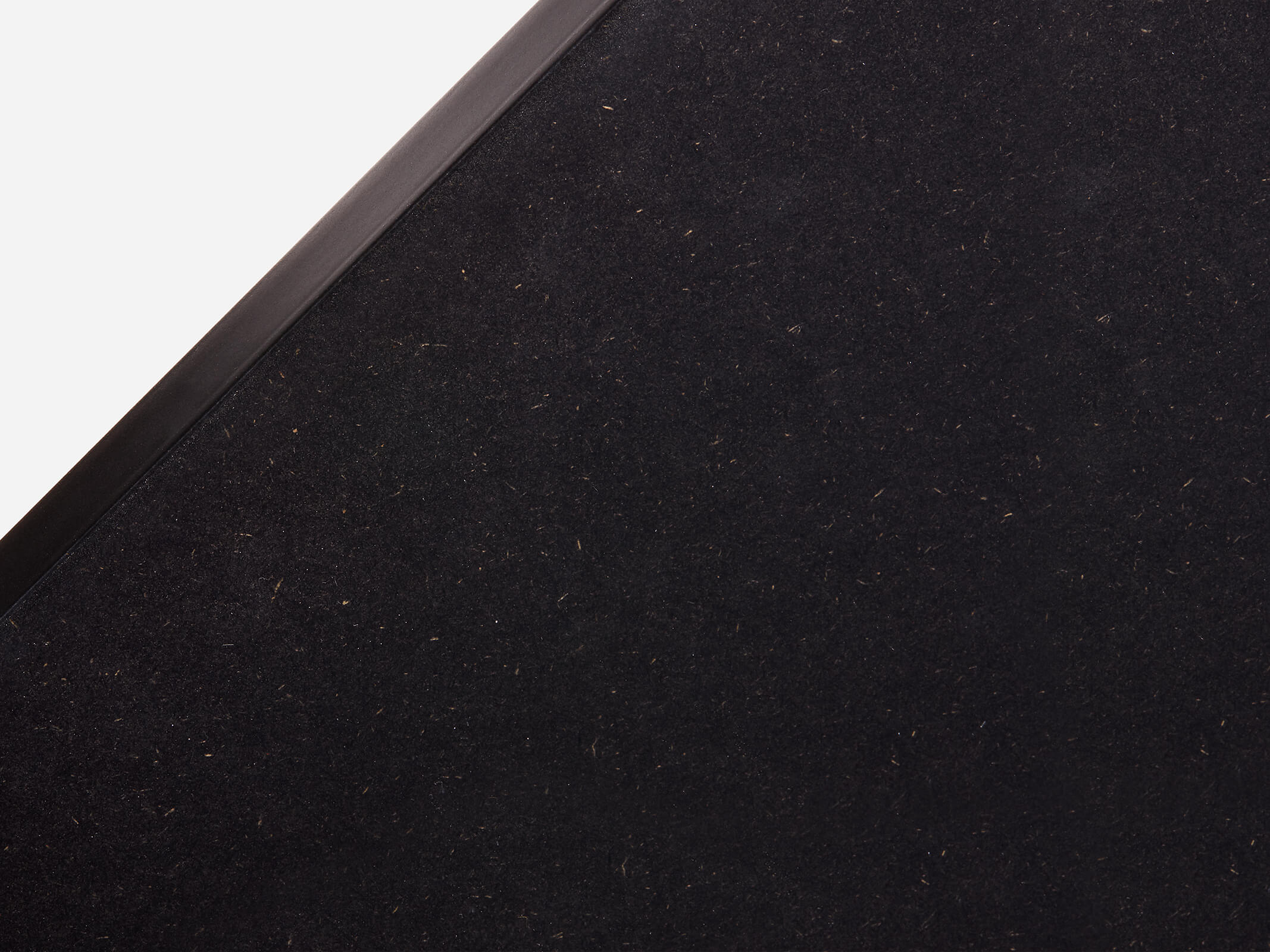 HOLTE_RAW_Front