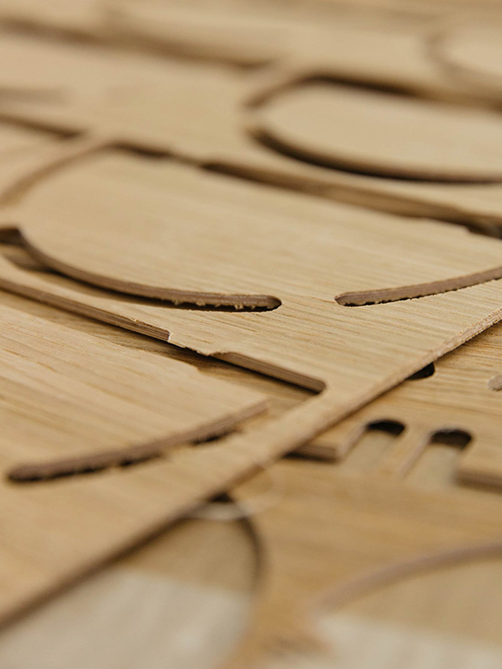 HOLTE_Workshop_1