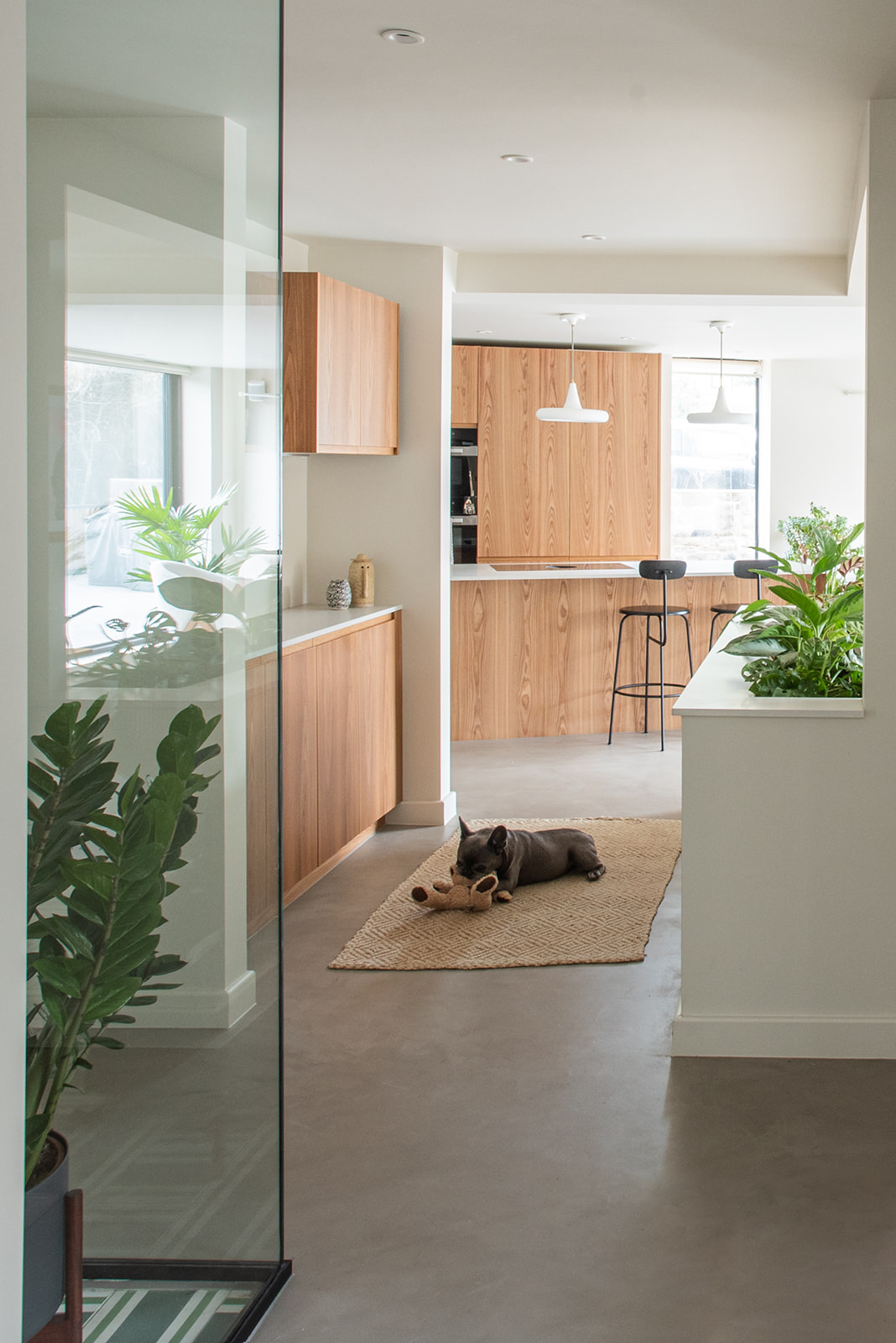 Wood kitchen with glass divide